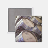 Bodega Marques de Riscal Weinkeller Magnet (Vorderseite/Rückseite)