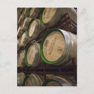 Bodega Marques de Riscal Weinkeller Postkarte