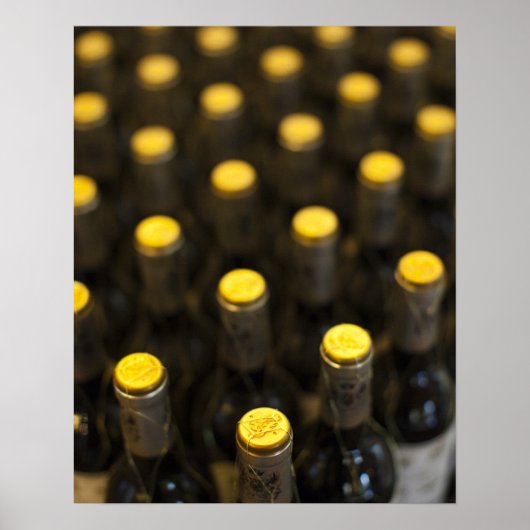 Bodega Marques de Riscal Weinkellerei, Weinflasche Poster (Vorne)
