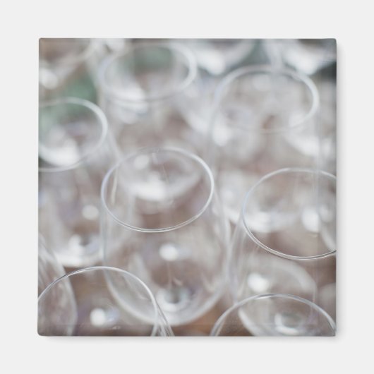 Bodega Marques de Riscal Weinkellerei, Weinprobe Magnet (Vorne)