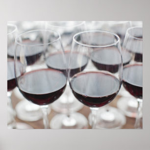 Bodega Marques de Riscal Weinkellerei, Weinprobe Poster