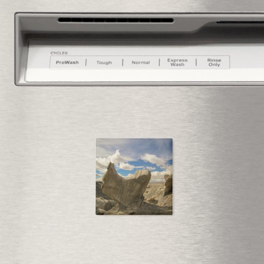 Böden Magnet (In Situ (Geschirrspüler))