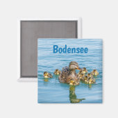 Bodensee-Enten mit Küken Magnet (Vorderseite/Rückseite)