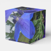 Bodichon Geschenkschachtel (Rückseite)