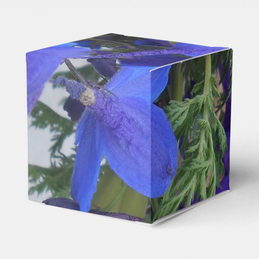 Bodichon Geschenkschachtel (Rückseite)