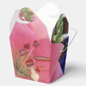 Bodichon Geschenkschachtel (Geöffnet)