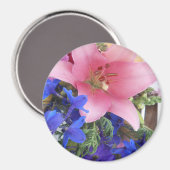 Bodichon Magnet (Vorderseite/Rückseite)