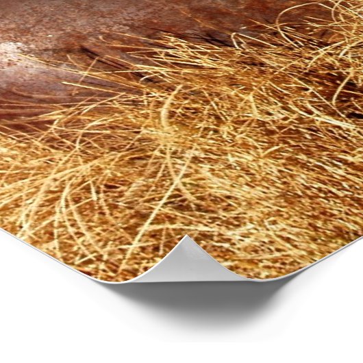 Bodie Abandoned Car Poster (Ecke)