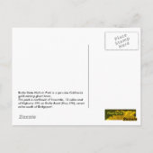 Bodie Antike Flaschen Postkarte (Rückseite)