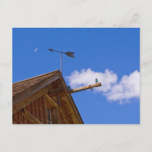 Bodie Ghost Town Point The Way Postcard Postkarte