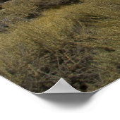 Bodie Main Street Poster (Ecke)