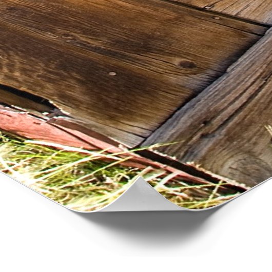 Bodie Reflection Poster (Ecke)