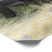 Bodie Staat Historic Park, CA Poster (Ecke)