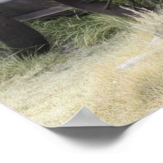 Bodie Staat Historic Park, CA Poster (Ecke)