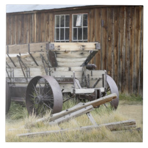 Bodie State Historic Park, CA Fliese