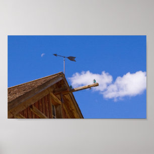 Bodie Weather Vane and Moon Color Poster