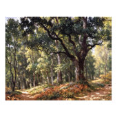 Bodmer Oak Fotodruck (Vorne)