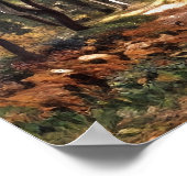 Bodmer Oak Poster (Ecke)