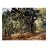 Bodmer Oak Poster (Vorderseite)