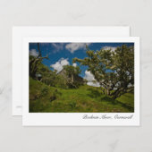 Bodmin Moor, Cornwall Postcard Postkarte (Vorne/Hinten)