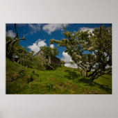Bodmin Moor Poster (Vorne)