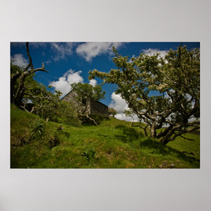 Bodmin Moor Poster