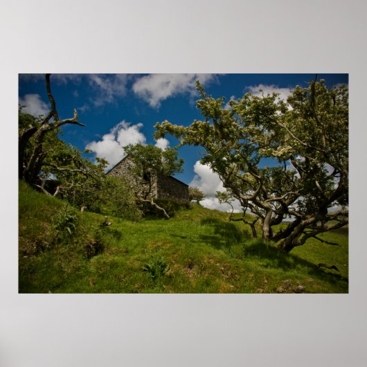 Bodmin Moor Poster (Vorne)