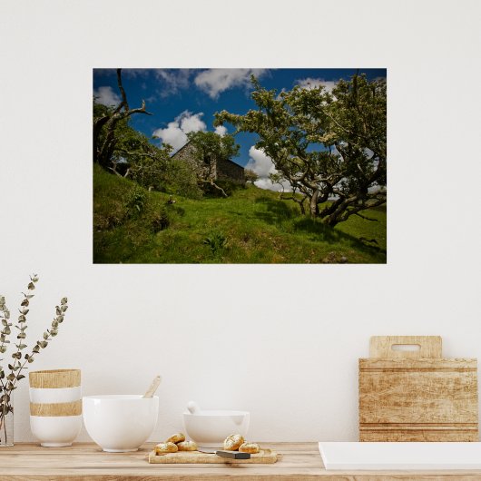 Bodmin Moor Poster (Küche)