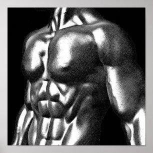 Body Builder Mans Torso Zeichne Poster