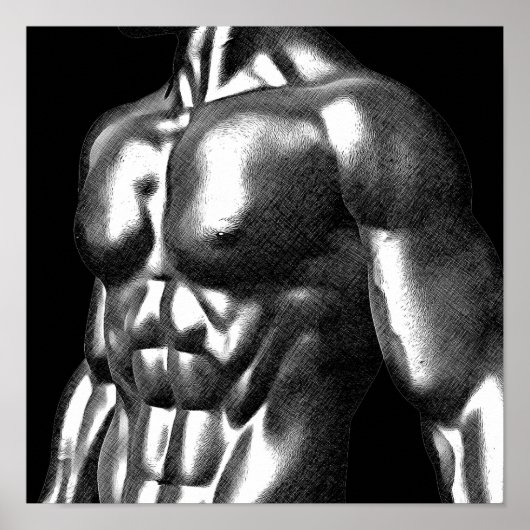 Body Builder Mans Torso Zeichnend Poster (Vorne)