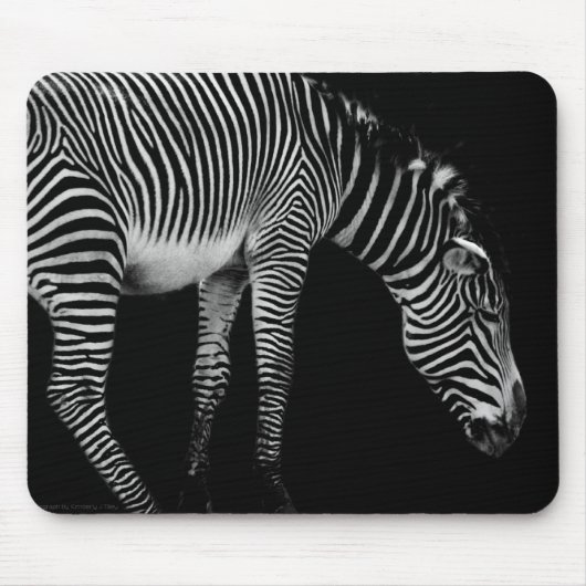 Body Language Mousepad (Vorne)