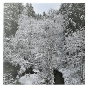 Boeckman Creek im Winter Fliese
