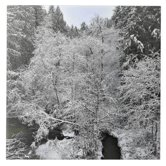 Boeckman Creek im Winter Fliese (Vorderseite)