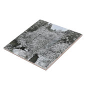 Boeckman Creek im Winter Fliese (Seite)