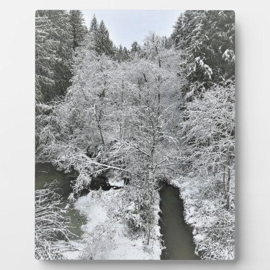 Boeckman Creek im Winter Fotoplatte (Vorderseite)