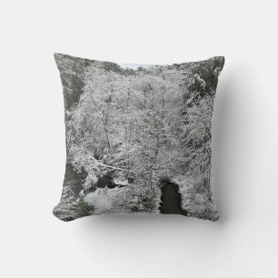 Boeckman Creek im Winter, Oregon Kissen