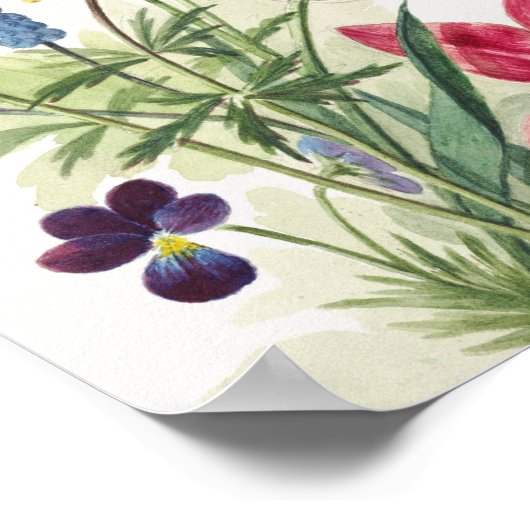 Boeket van tulpen, viooltjes, blauwe druifjes poster (Ecke)