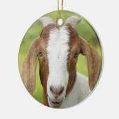 Boer Goat Nanny Kid Keramik Ornament (Links)