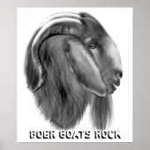 Boer Goat Poster (Vorne)