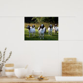 Boer Goat the Gangs All Here Poster Print (Küche)