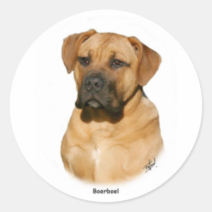 Boerboel 9Y121D-294 Runder Aufkleber