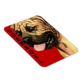 Boerboel-Farbblock Magnet (Rechte Seite)