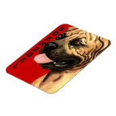 Boerboel-Farbblock Magnet (Linke Seite)