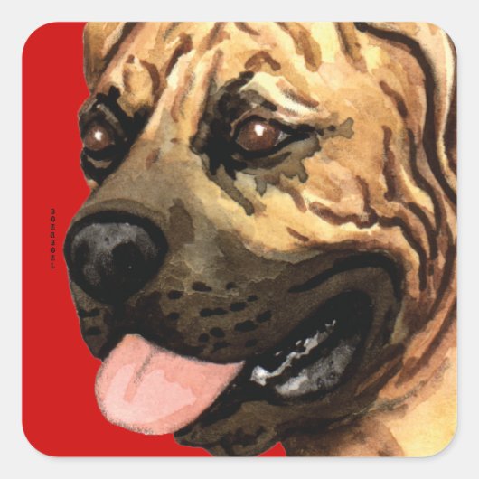 Boerboel-Farbblock Quadratischer Aufkleber (Vorderseite)