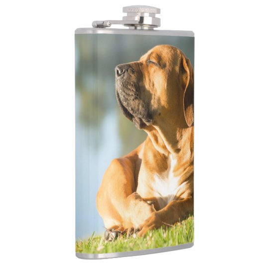 Boerboel Flachmann (Rechts)