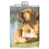 Boerboel Flachmann (Vorderseite)