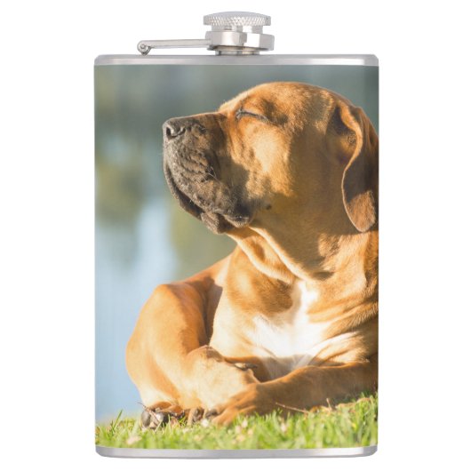 Boerboel Flachmann (Vorderseite)