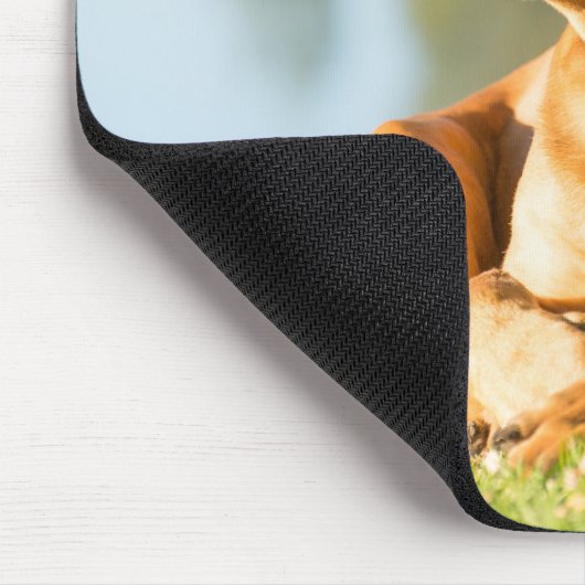 Boerboel Gel Mouse Pad Mousepad (Ecke)