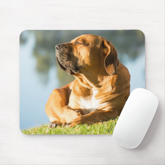 Boerboel Gel Mouse Pad Mousepad (Mit Mouse)