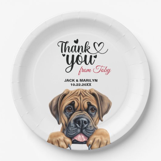 Boerboel-Hund Pappteller (Vorderseite)